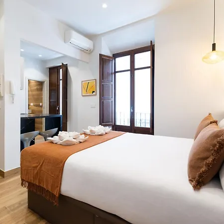 Estudio Reformado En Centro * Granada